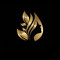 Efruz Beauty Hair & Spa